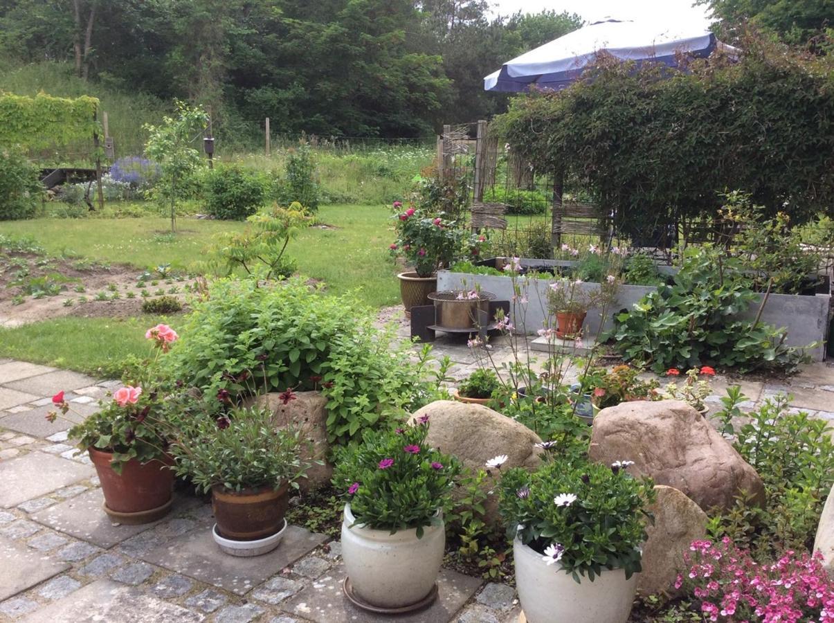 Bergliot Bed&Breakfast Hundested Esterno foto