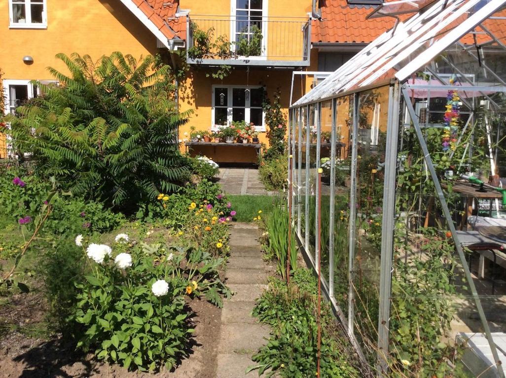 Bergliot Bed&Breakfast Hundested Esterno foto